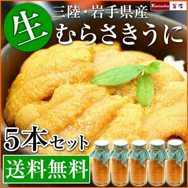 ★水揚げ次第発送★ 【 岩手県産 無添加 生うにの瓶詰め 150g × 5本 】   瓶詰め 生ウニ 生うに 牛乳瓶詰め 三陸 牛乳瓶入り 塩水漬け むらさきうに ムラサキウニ 指定日不可