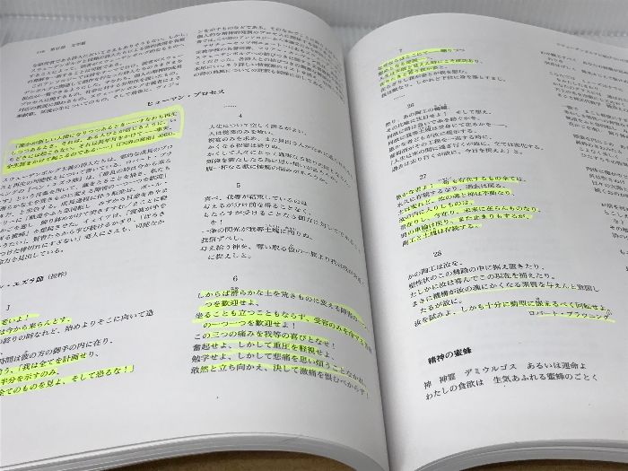 エマヌエル・スウェ-デンボルグ 持続するヴィジョン  /春秋社（千代田区）/ロビン・ラ-セン（大型本） エマヌエル・スウェ-デンボルグ 持続するヴィジョン /春秋社
