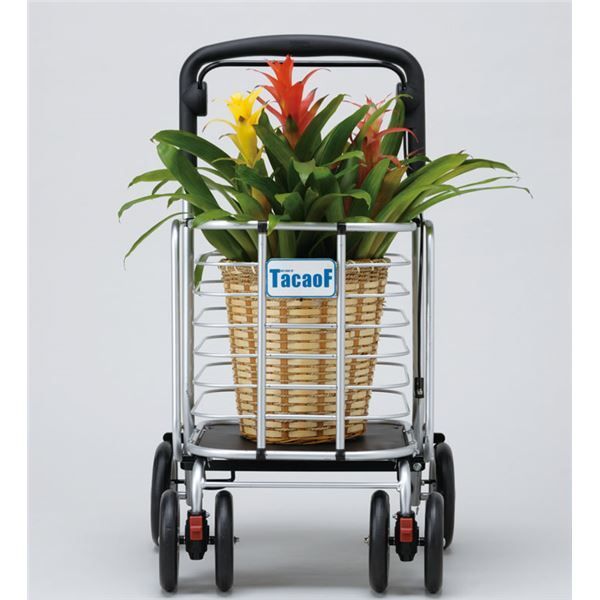 テイコブワゴン