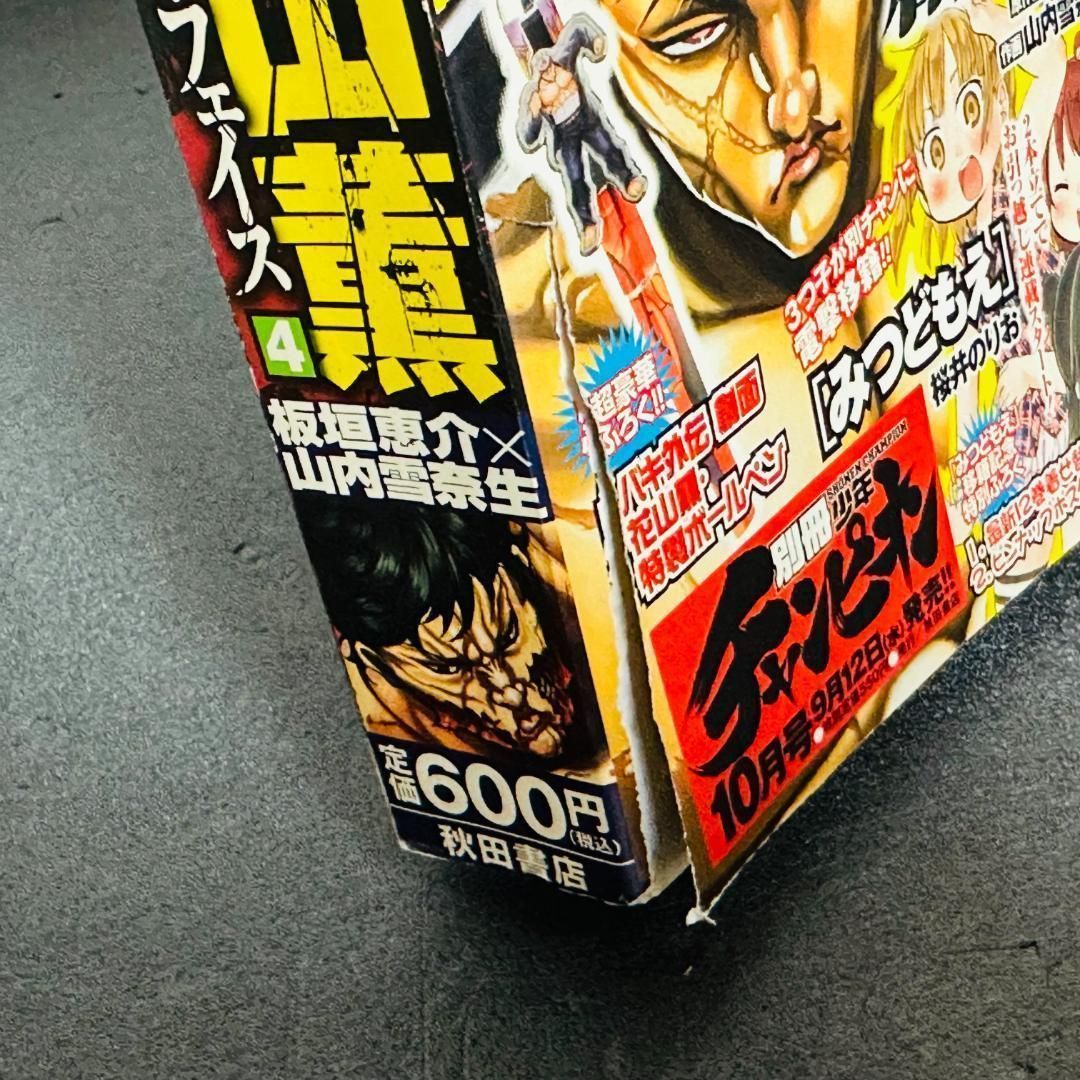 グラップラー刃牙 コンビニ版 漫画 21冊セット コミック ワイド 全巻 3