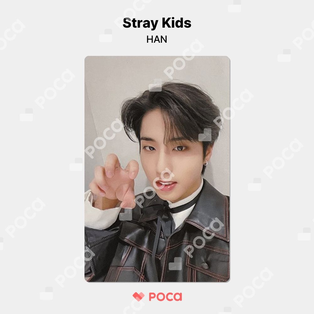 straykids ハン】スキズ Stray Kids 2nd World Tour MANIAC