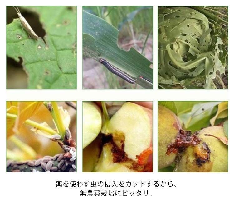 防虫ネット 1mm目 150cm×50M 虫除けネット トンネル 防虫網 虫よけ 虫除け 鳥よけ 防虫 防鳥 ネット 農業 園芸 菜園 野菜 苗 畑 保護 ハウス 野菜栽培 野菜作り 害虫除け 侵入防 zyz8694 ed967d79-9722- STEELWINDOWSANDDOORS_COM