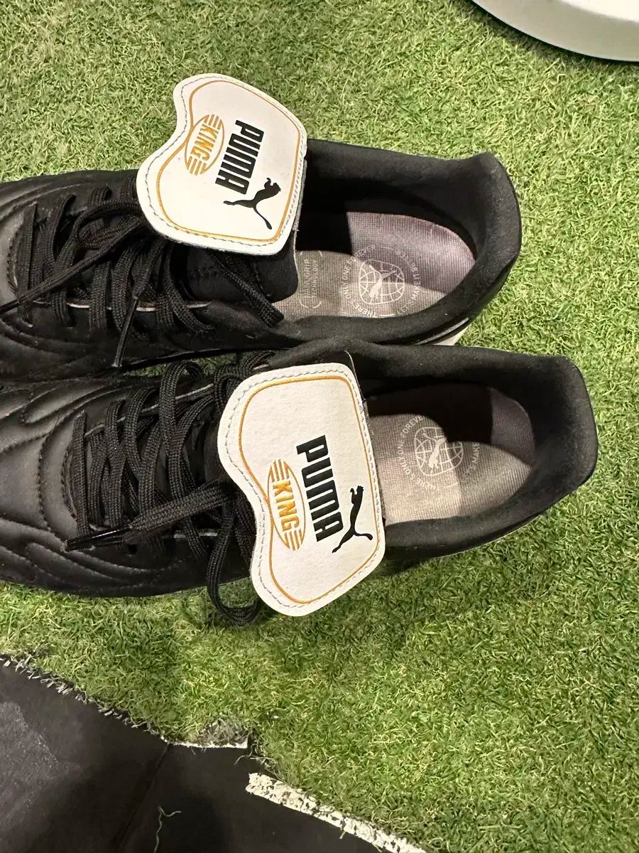 PUMA