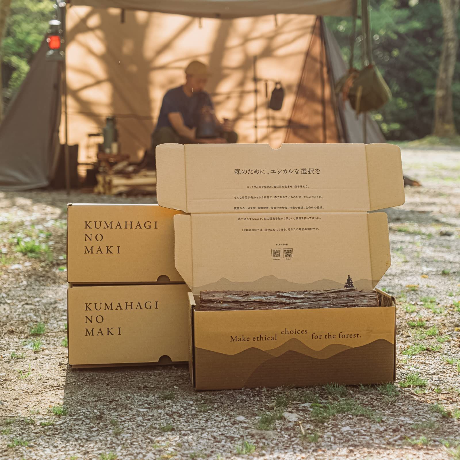 針葉樹 焚き付け