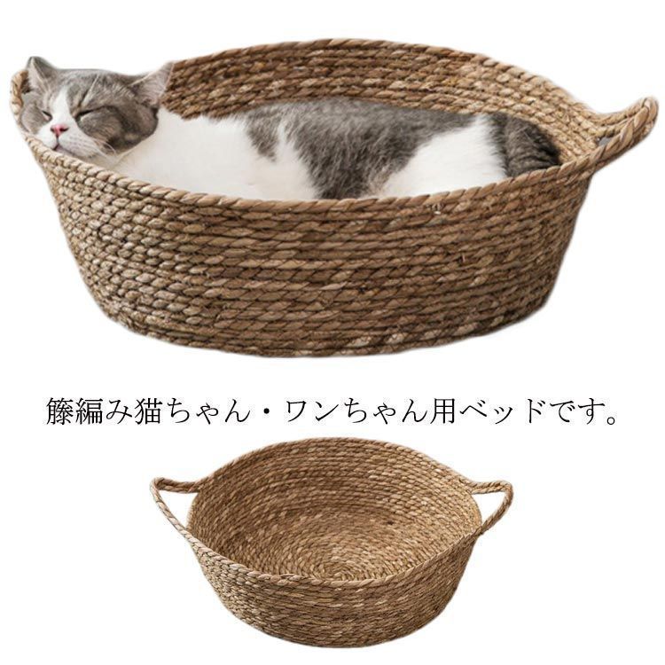 子宮体癌の診断と治療 (今日の治療 産婦人科) 宇田川 康博; 塚崎 克己 子宮体癌の診断と治療 (今日の治療 産婦人科) 宇田川 康博; 塚崎