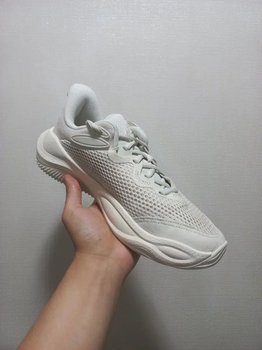 農民化 バドミントン