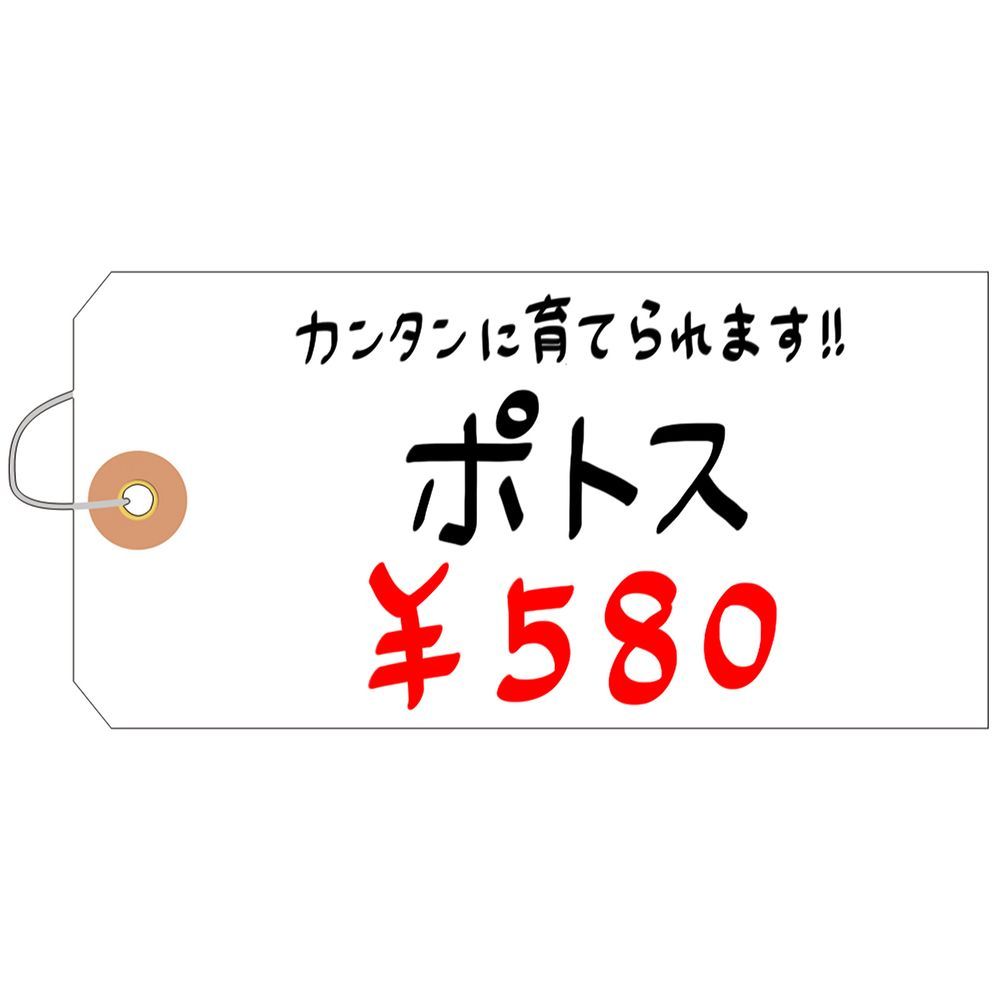 1000枚入