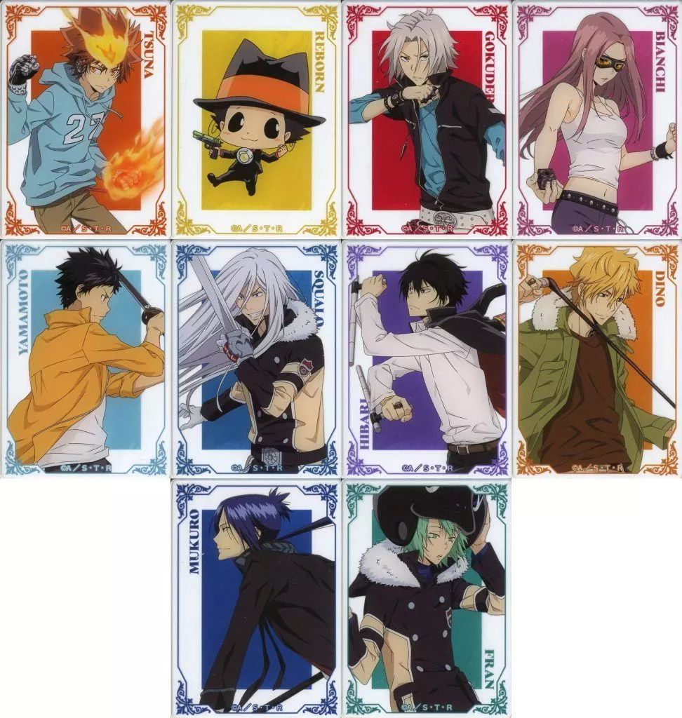 【中古】キャラカード 全10種セット 「家庭教師ヒットマンREBORN! アニメイトフェア in 2025 描き下ろし 修業風景ver. トレーディングアクリルカード」