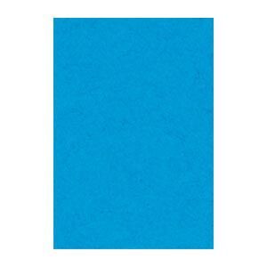 リンテック ニューカラーＲ 8 NCR-216 うすあお