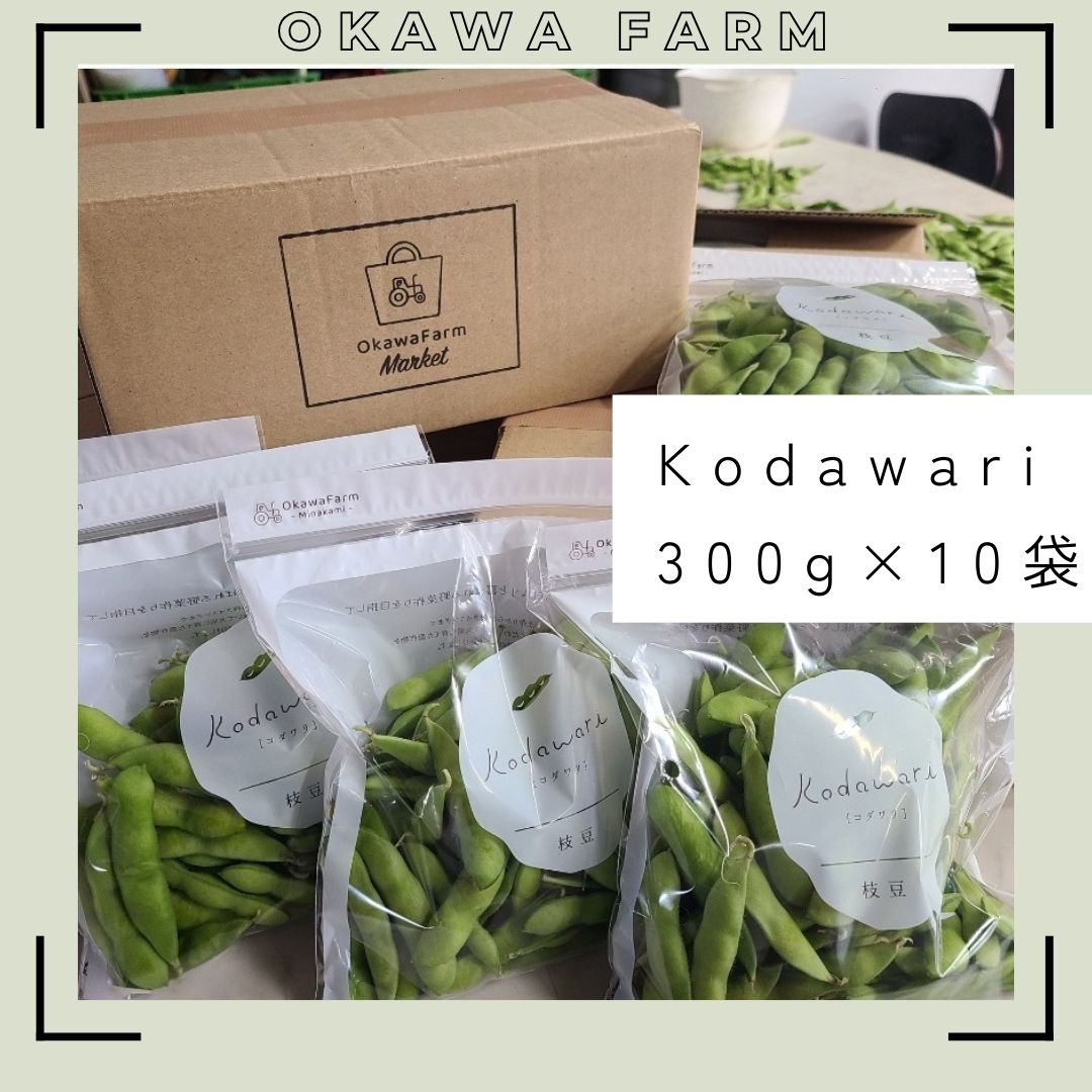 6|10頃から発送開始 kodawari 3キロ クール便 枝豆 産地直送 初だるま 大川ファーム