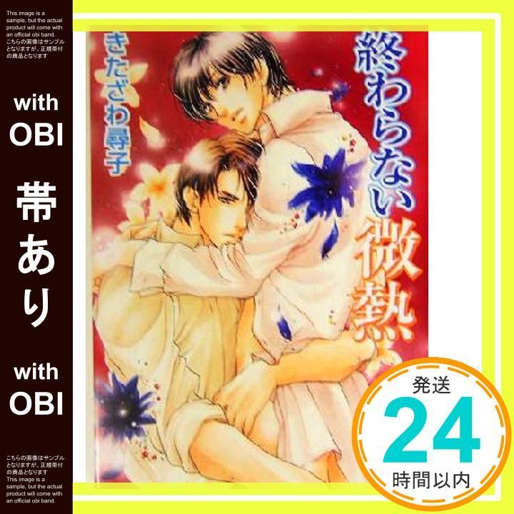 帯あり 終わらない微熱 角川ルビー文庫 80-6 きたざわ 尋子 陸裕 千景子_07