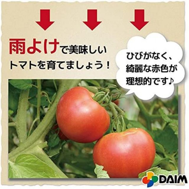 DAIM 第一ビニール