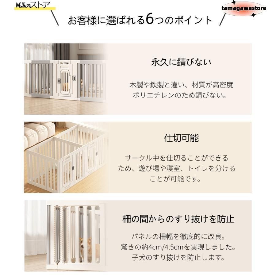 中型犬