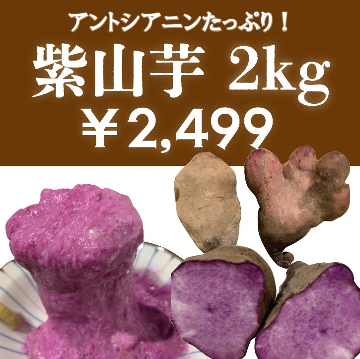 紫山芋が獲れました！無農薬、化学肥料不使用！有機栽培！房総紫山芋をお試しください！】産地直送 産直 千葉県産 木更津産 - メルカリ