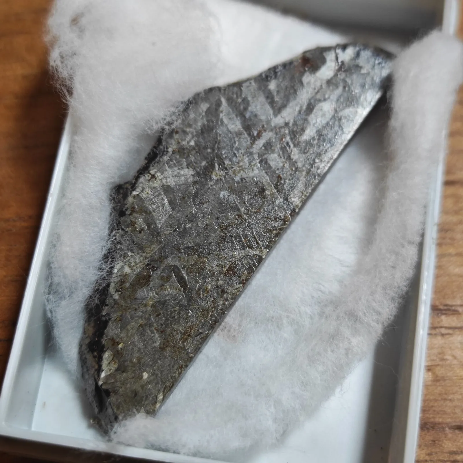 2026年最新】オデッサ隕石の人気アイテム - メルカリ