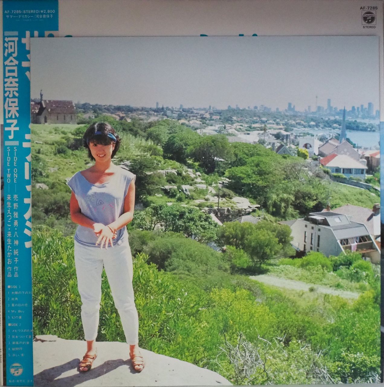 河合奈保子／Summer Delicacy - メルカリ