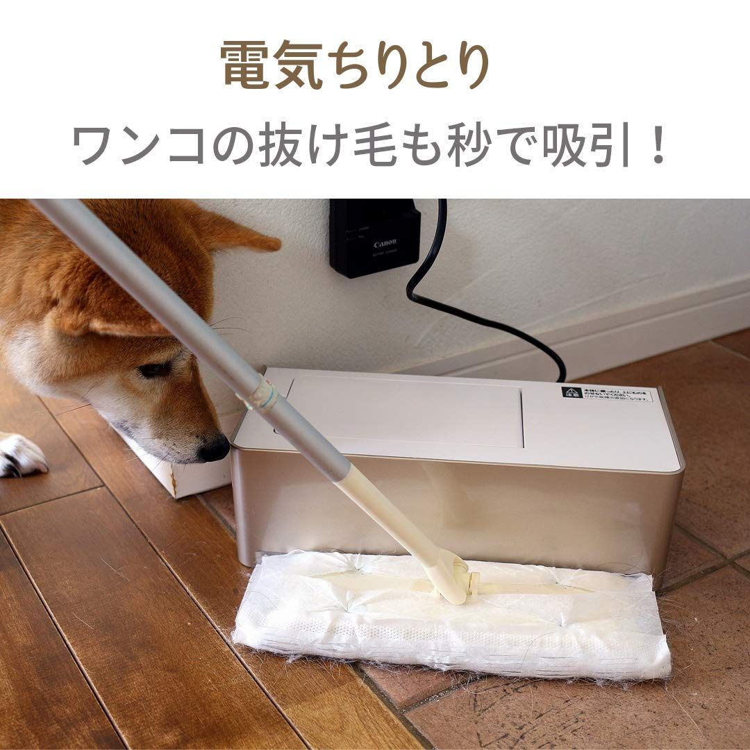 CCP 全国対応 電源 AC100V 50 60hz 電気ちりとり フロアワイパー ホワイト ZN-DP24 WH 本体 WWW_KANDAIZUMI_COM