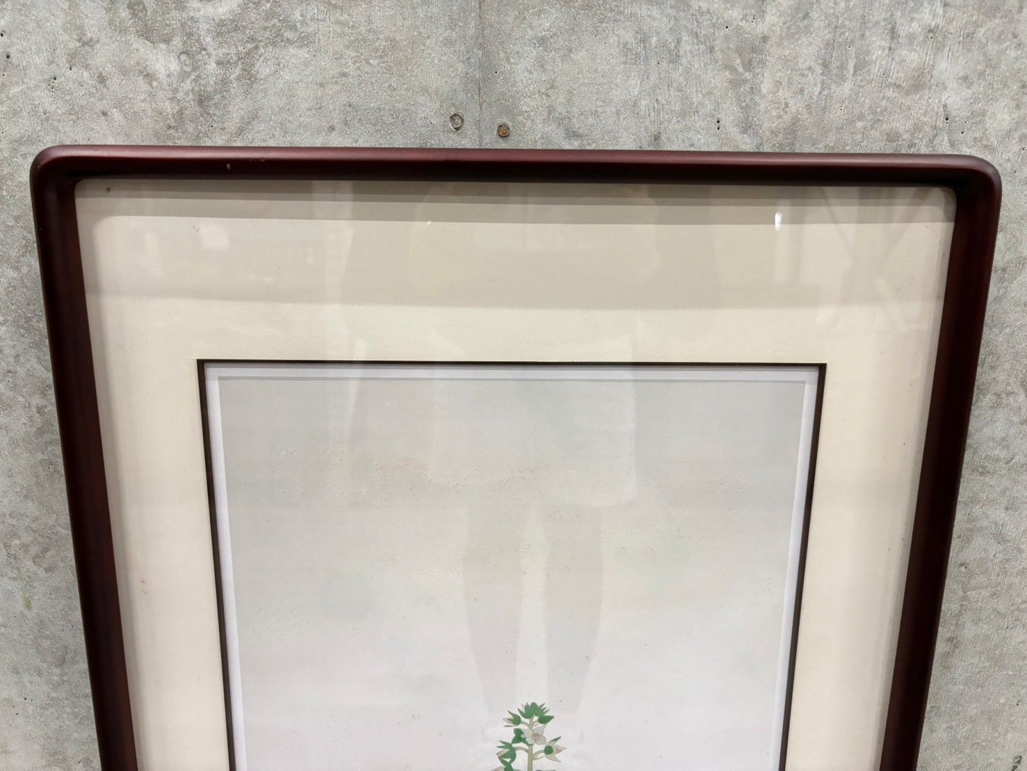 送料無料】 土田麦僊 黄蜀葵 トロロアオイ 絵画 足立美術館発行