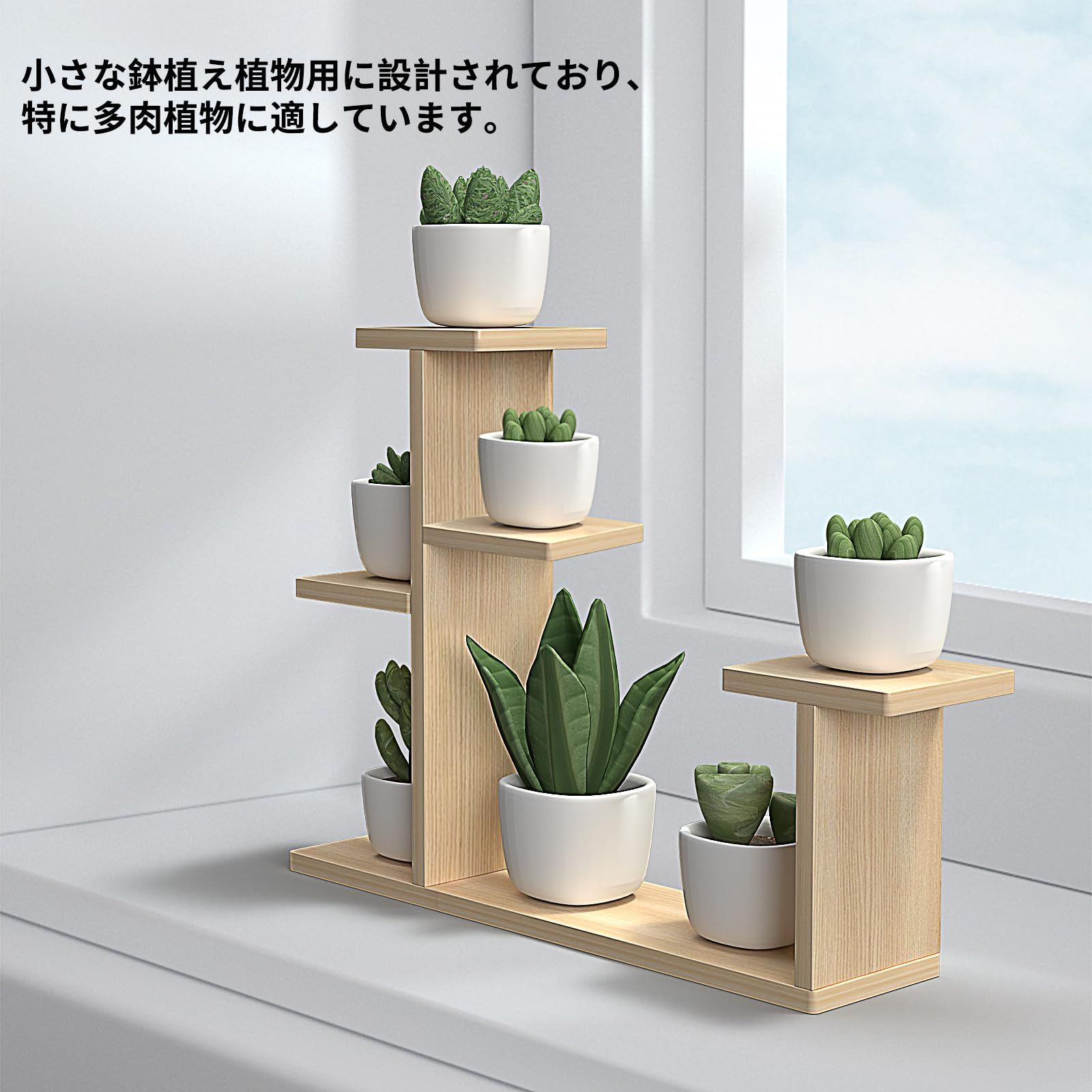 多肉植物棚 擦れ合っ