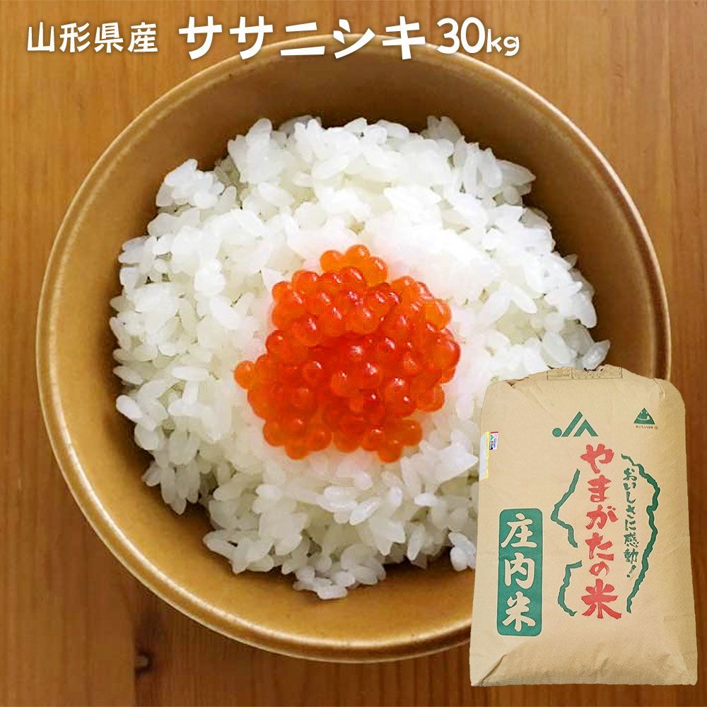 伊達市産　ササニシキ　玄米　一等米　30kg 令和６年産　冷蔵保存 ササニシキ 希少 一等米 玄米 30kg 伊達産 令和6年産 冷蔵保管