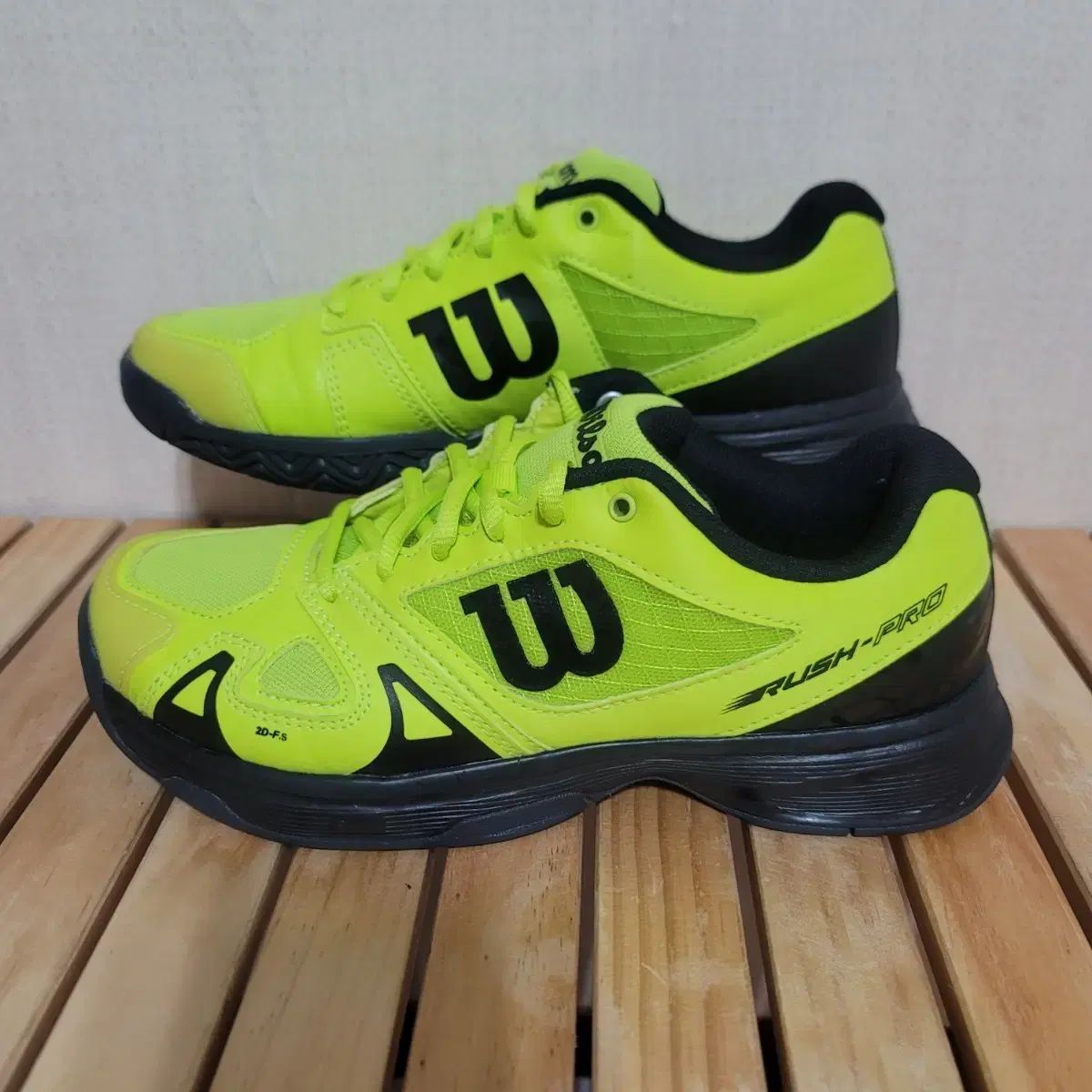 じ*も様 【AL1098】ユッカ ロストラータ 美形 ホワイト個体