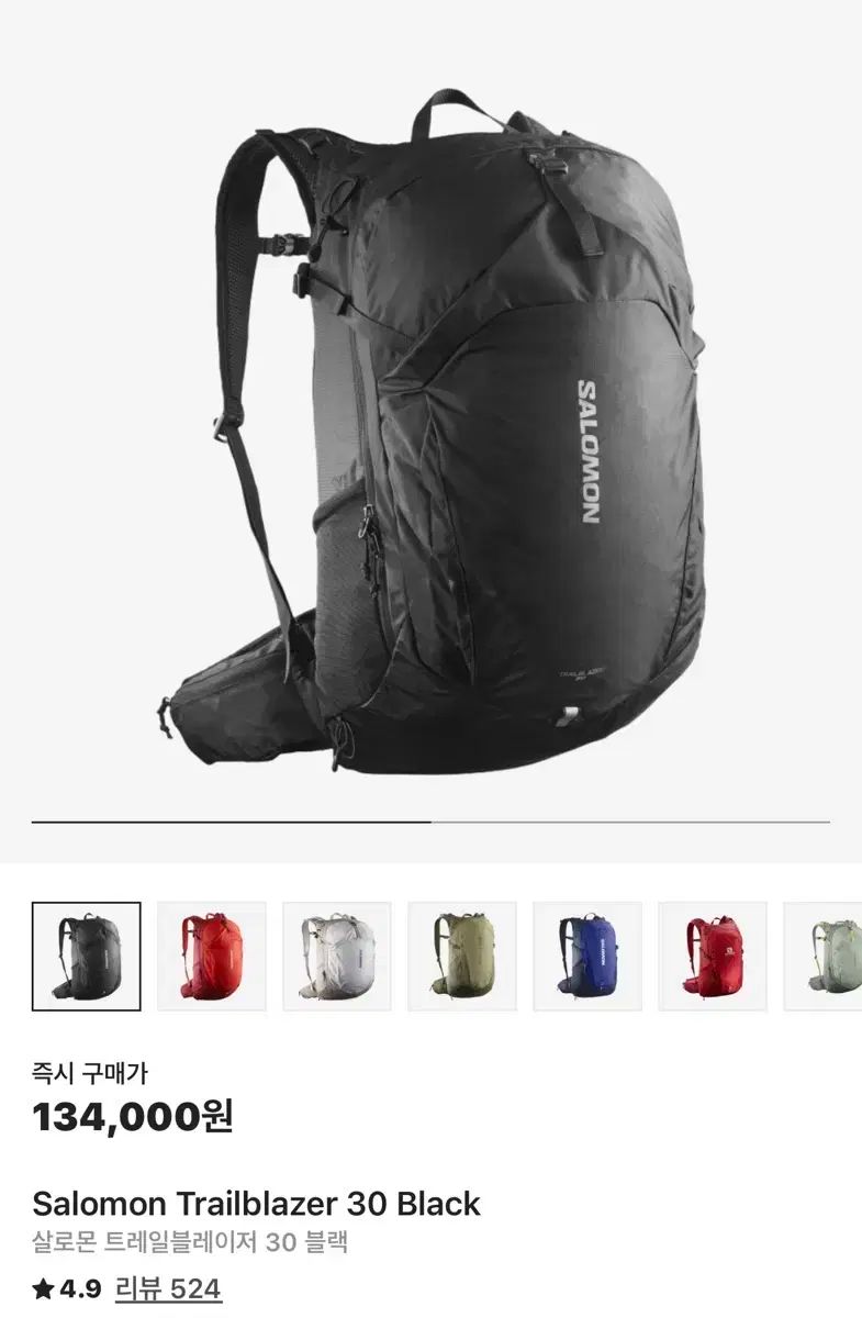 SALOMON サロモン トレイル ブレーザー