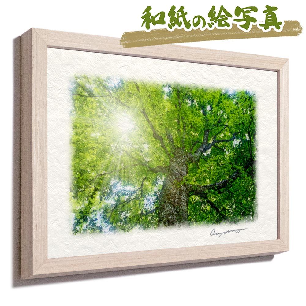 和紙の絵写真 「木漏れ日と新緑のブナの大木」 平面額縁付き 32x23cm 絵画 インテリア 玄関 風水 風景画 アート パネル ポスター おしゃれ 新築祝い 絵 壁掛け 和モダン 和風 ジャパンディ 夏 緑 木 森