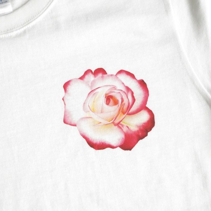 純正オンラインストア AFFAバラTシャツ 初期 薔薇 - blog