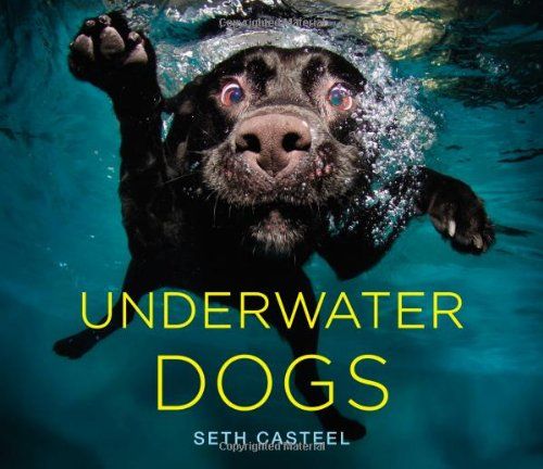 Underwater Dogs／Seth Casteel