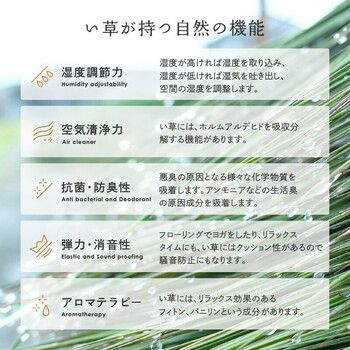 江戸間3畳 柄上敷き