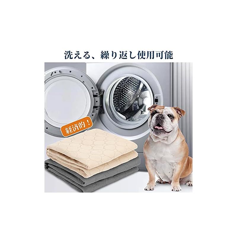 多頭飼いに最適