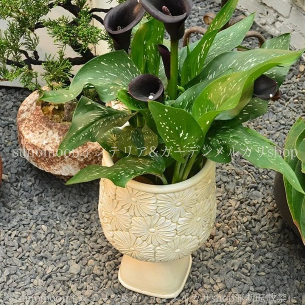 庭の装飾 ガーデンインテリア