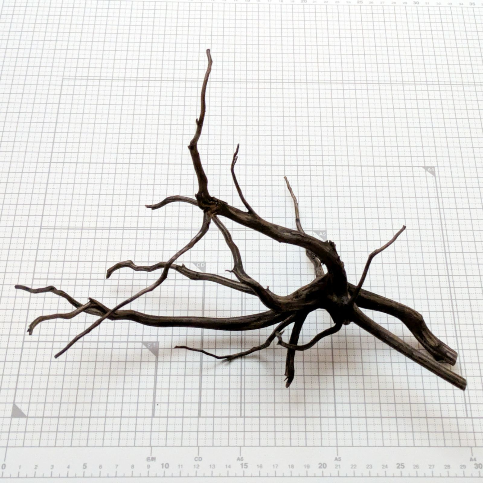 約30x19x20cm ブラックブランチウッドS 複数同時購入で2品目以降50