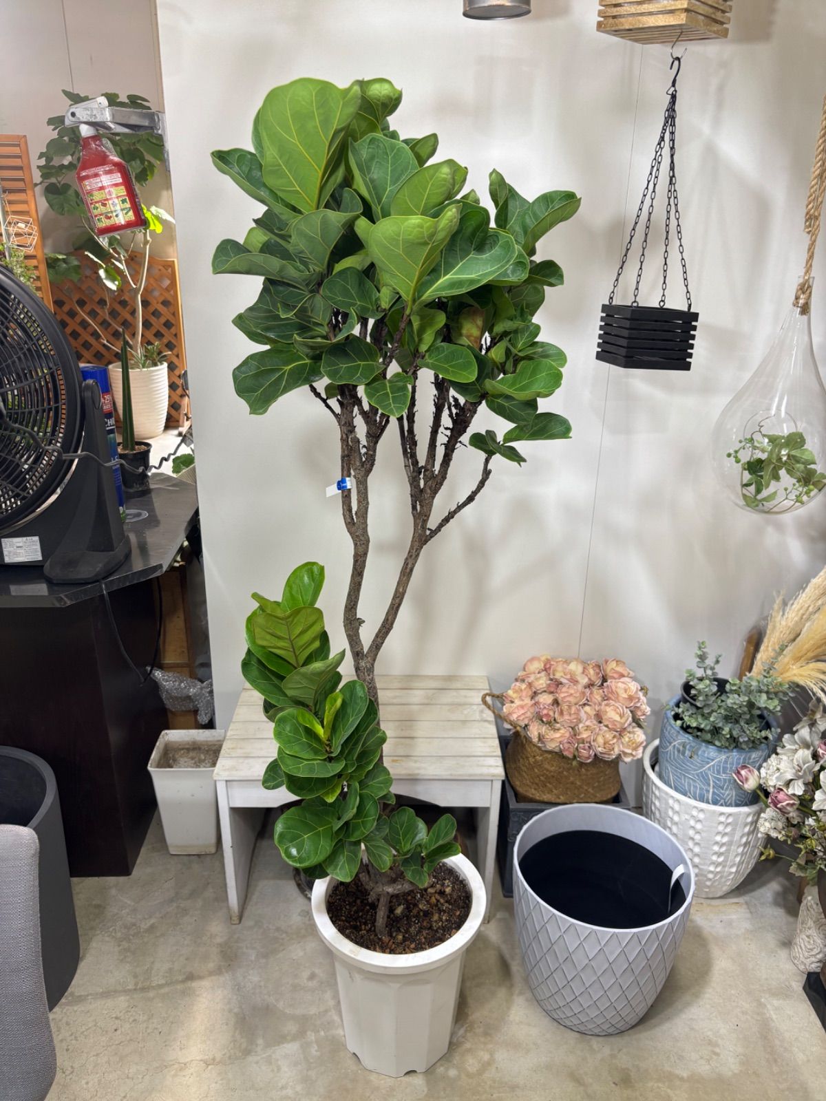 1950年代後半～1960年代アメリカンビンテージキッチンクロック 1950