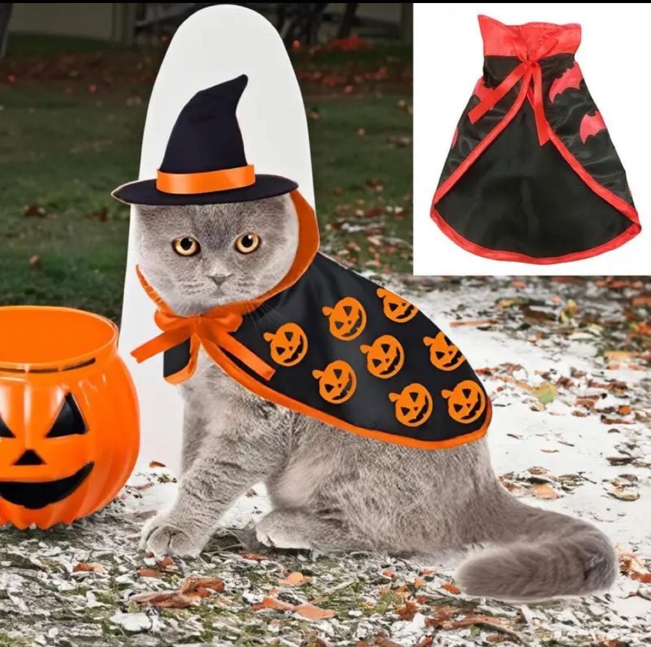 ハロウィン ペット 帽子付き マント 洋服 Mサイズ かぼちゃ 可愛い 犬