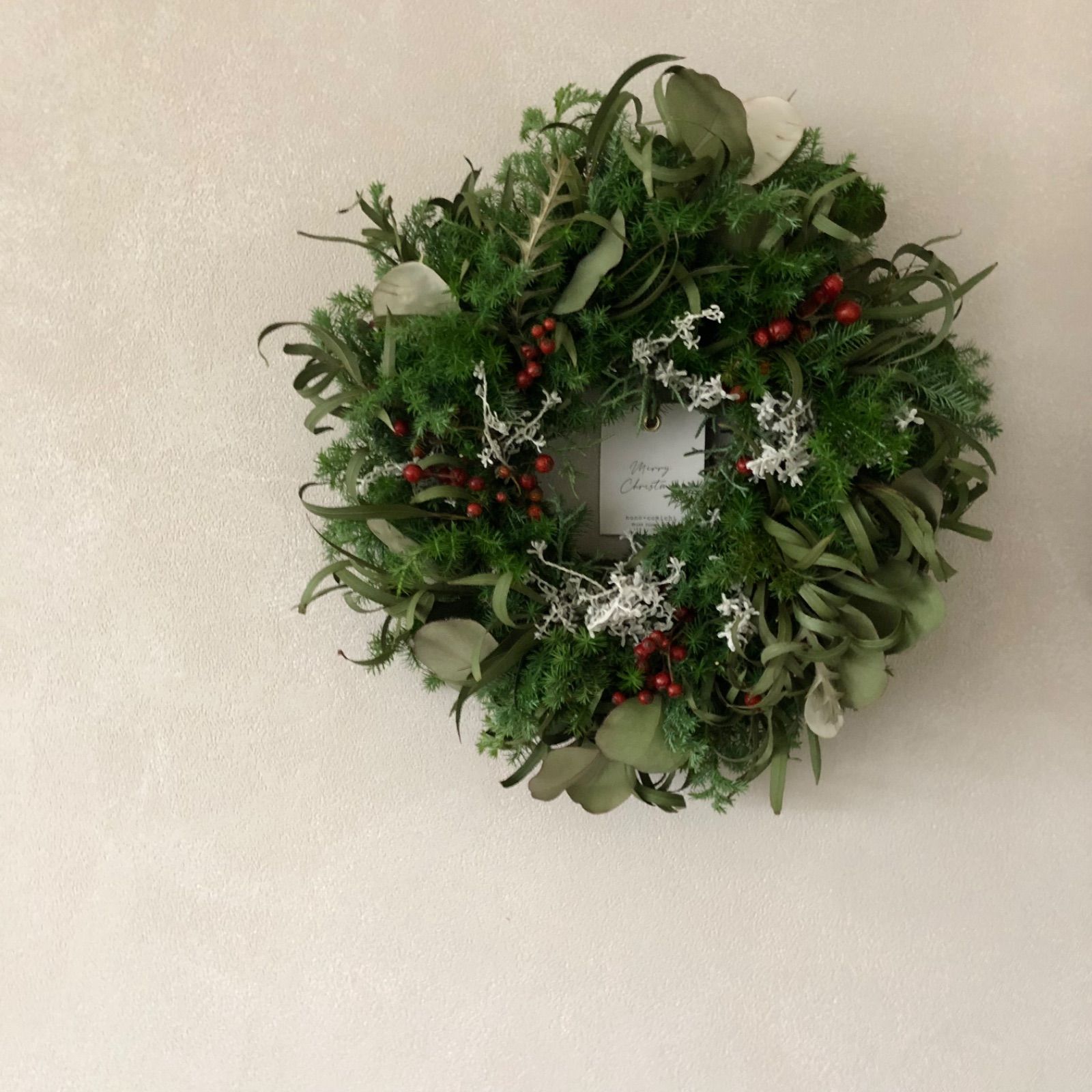 sold プロテアリース sold プロテアリース