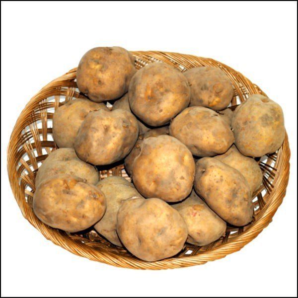 新ジャガ芋(メークイン)　Mサイズ 北海道産じゃがいも（メークイン）Mサイズ5kg箱 | 北海道大地の恵み市場