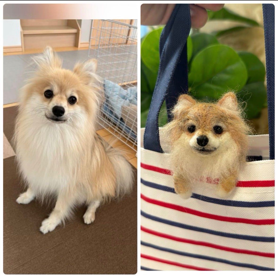 羊毛うちの子　クリップペット　マスコット　ペット　うちの子　プレゼント 羊毛クリップペット うちの子オーダー うちの子 ペット 家族 マスコット