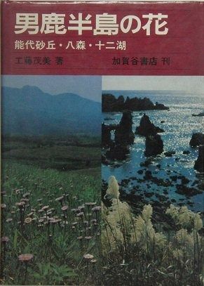 男鹿半島の花―能代砂丘 八森 十二湖