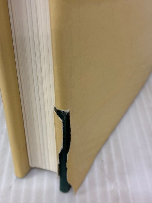  イタミ有り Mackintosh s Masterwork Glasgow School of Art Chambers Buchanan William 洋書 本