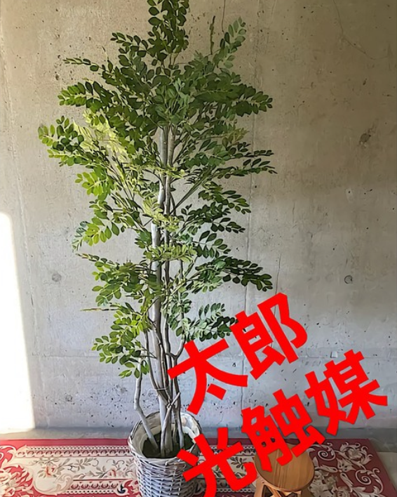 光触媒　人工観葉植物　ウォールグリーン　フェイクグリーン　オプション鉢カバー