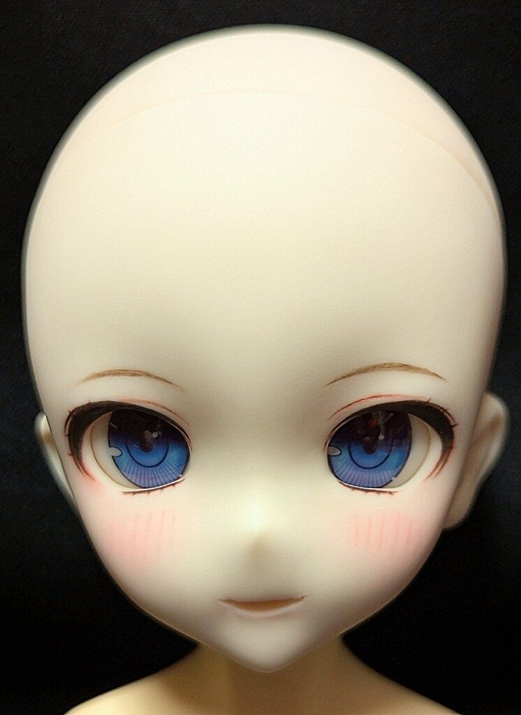 たすく DDカスタムヘッド