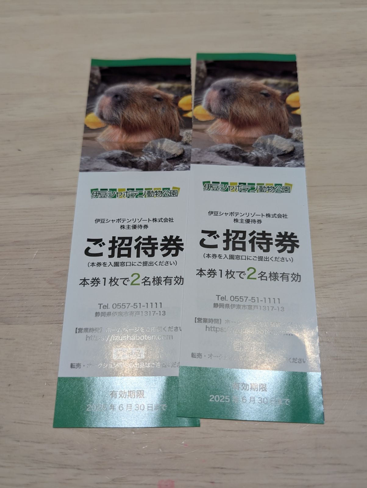 匿名発送！伊豆シャボテン動物公園   全日招待券　２枚４名様分　11，200円相当　2025年6月30日迄