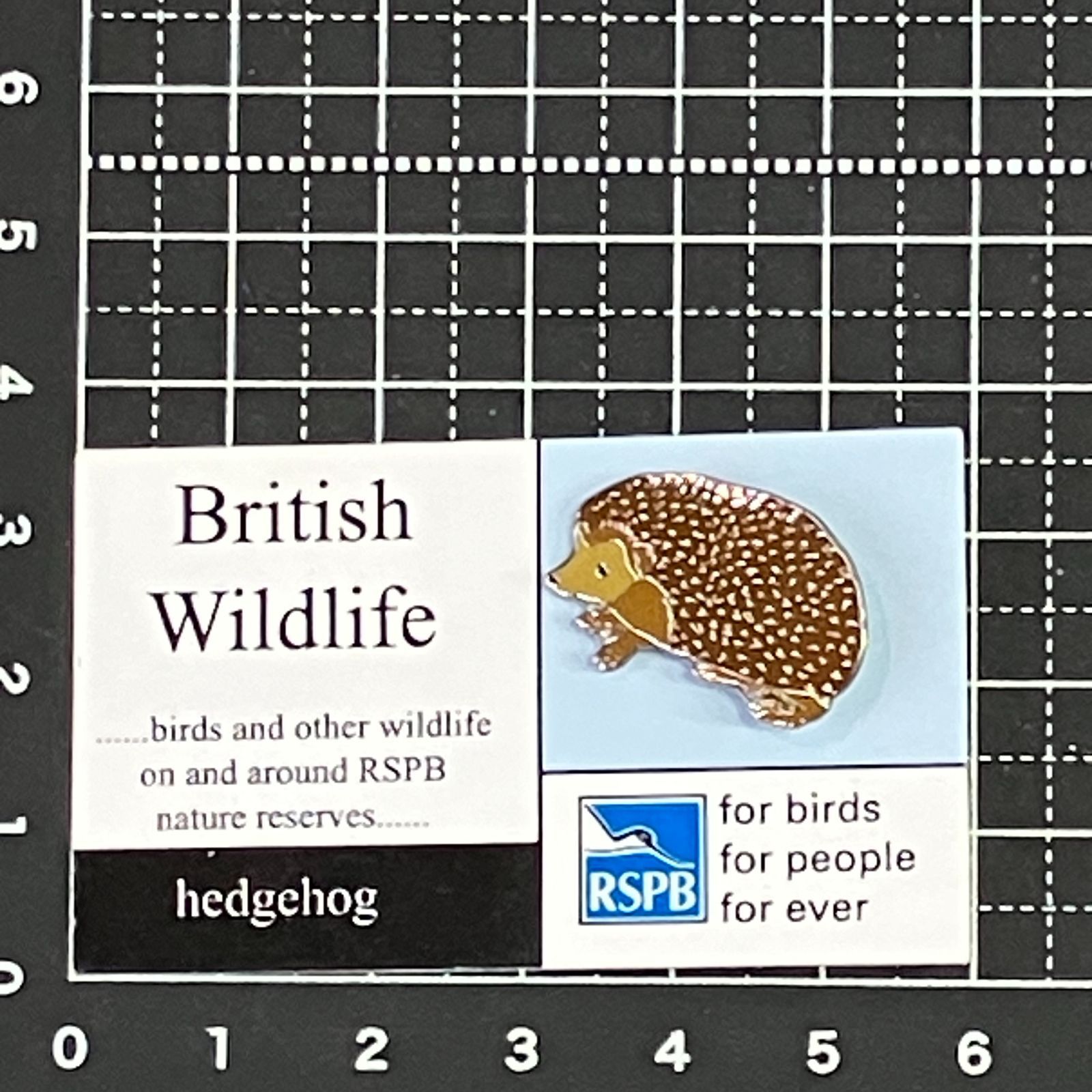 ハリネズミ　ピンバッチ 英国 ブリティシュ ワイルドライフ 『 ハリネズミ （ヘッジホッグ