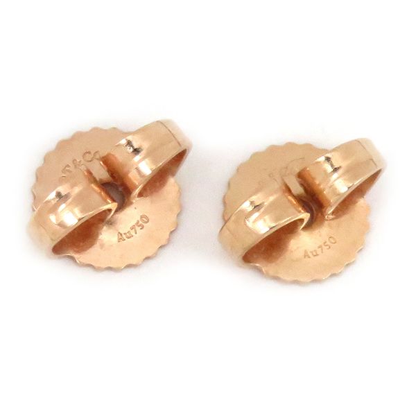 ティファニー Tiffany & Co ピアス ジャン シュランバージェ リン  