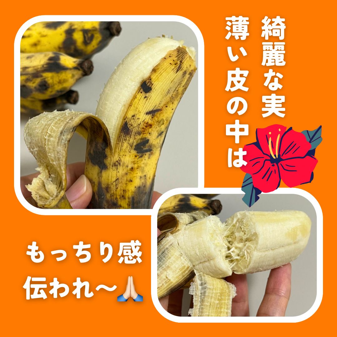 希少】沖縄本島産 南風原町農友会の「アップルバナナ」 3kg