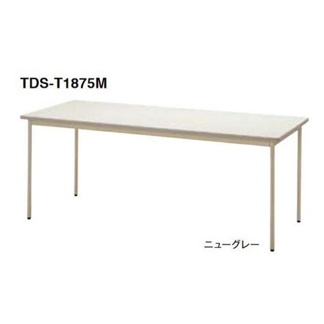 TDS-T ミーティングテーブル 塗装脚 エラストマエッジタイプ