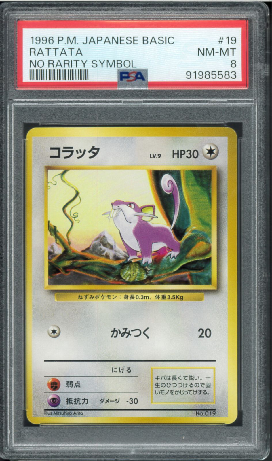 PSA8 コラッタ 初版 マークなし 旧裏 旧裏面 NO RARITY SYMBOL 拡張
