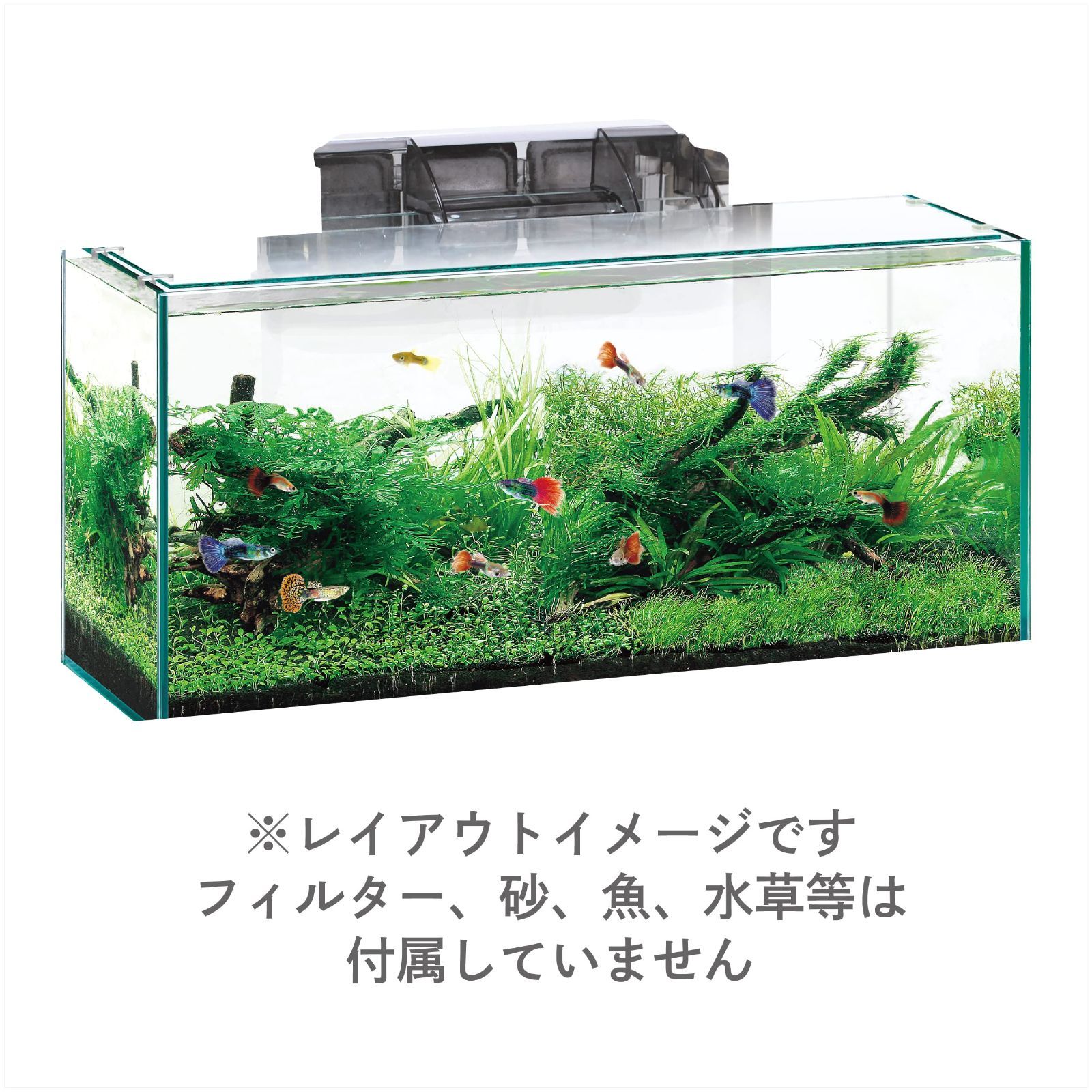 gex 水槽 セット 熱帯魚 GEX グラステリア スリム450水槽 水槽セット