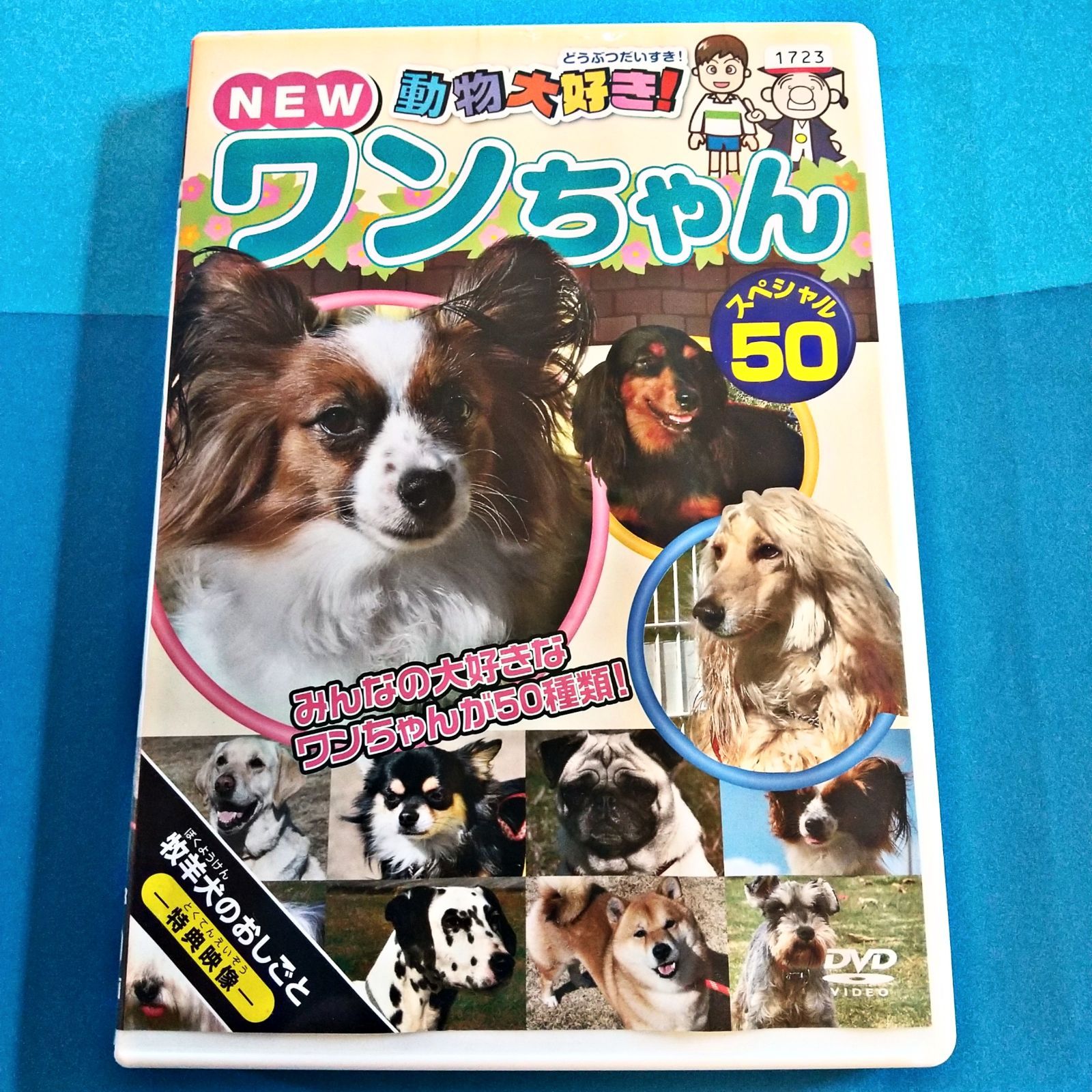 🐈‍⬛  🐕️🐩💕動物 大好き! NEW-ワンちゃん! スペシャル 50 - 和美容